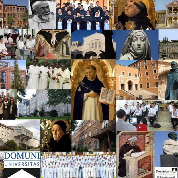 Domuni, au sein du réseau des universités dominicaines