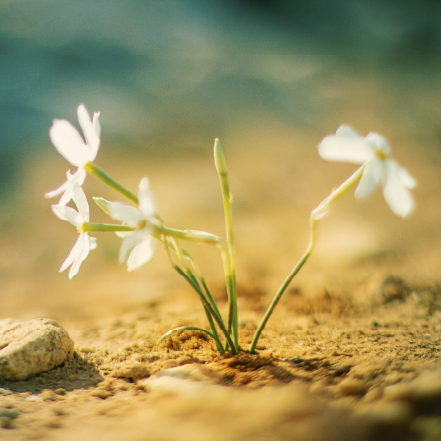 Lettre de la Rectrice, Janvier 2026