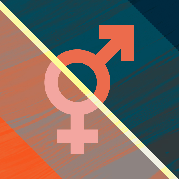 E-Seminar : Gender Equality : Culture, Religion and Politics