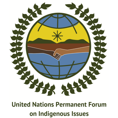 United Nations Indigenous Peoples Forum 2021