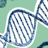 Bioethics and Human Enhancement: Where Should We Draw the Line?