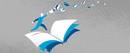 Rector's Letter for November 2024