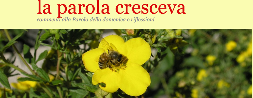 "La Parola cresceva". Commenti alla Parola della domenica e riflessioni