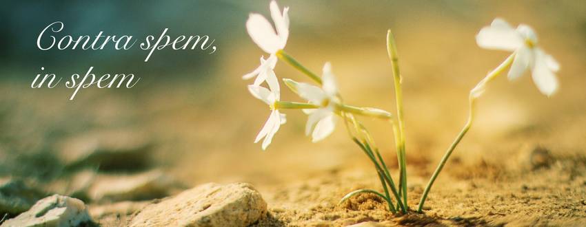 Lettre de la Rectrice, Janvier 2026