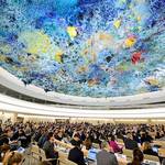 Master Human Rights Law