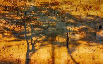 SEM30 - The New Testament as Second Temple Jewish Literature