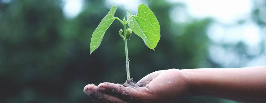 Natural Law: its origin and implication