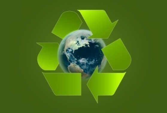 E-séminaire : Philosophie de l’écologie