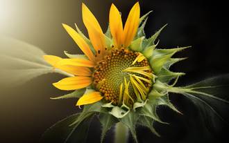 Philosophie de la Nature