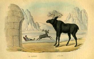 Histoire de l'Épistémologie et des Sciences du Vivant, Tome 1