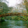 Licence passerelle
