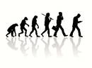 Homo numericus