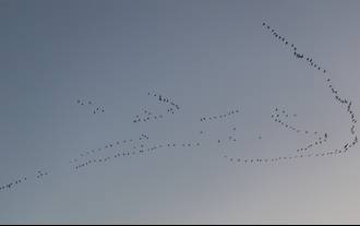 Dieu migrant